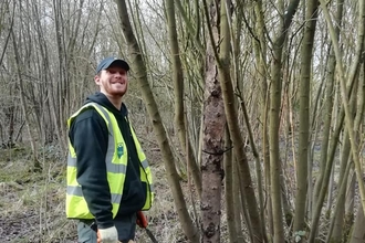 Putting up deadwood for willow tits