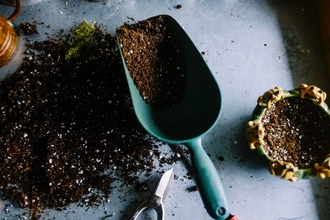 Photo of soil scattered on a worktop next to a trowel for gardening.