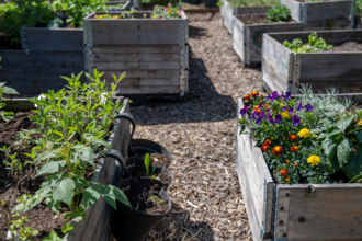 A variety of raised planting beds filled with colourful flowers and plants