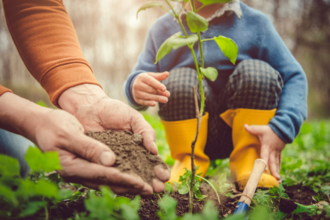 An adult and a young child in yellow wellies planting a sapling