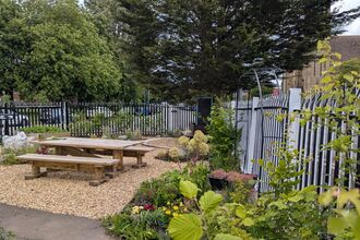 Brotherhood Bloom Cover Photo.jpg