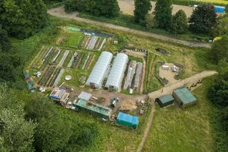 Let’s Gather at the Farm - Northern Roots