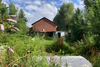 South Street Community Garden - St Barnabas Parent, Teacher and Community Association