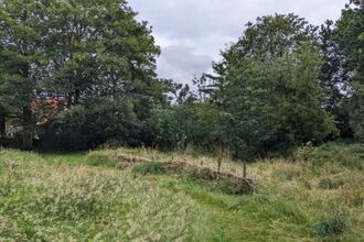 Biodiversity for Wellbeing in Rodney Fields - Friends of Rodney Fields
