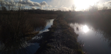 Bickershaw Nature Reserve