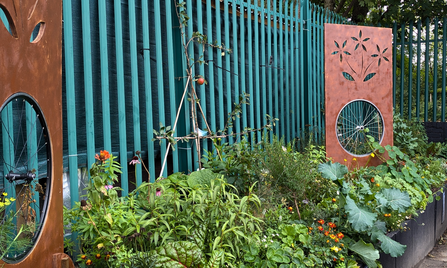 The edible garden overflowing with colourful produce for the community to enjoy