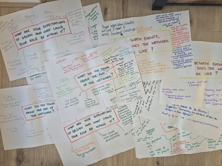 GBSAN Brainstorm Sheets