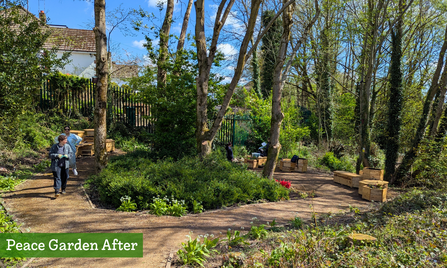 After - Peace Garden