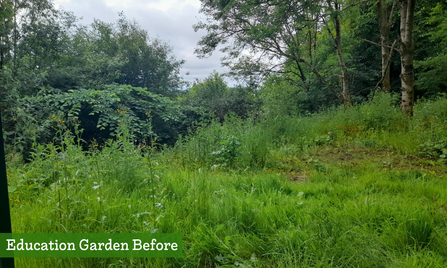 Before - Education Garden