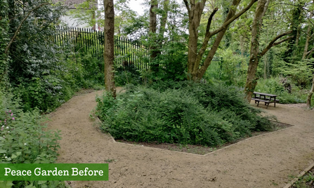 Before - Peace Garden