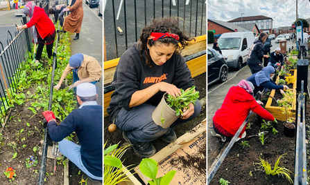 Adding colour to planters over the road from the Community Centre