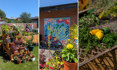 The garden is overflowing with colour, community spirit, and courgettes!