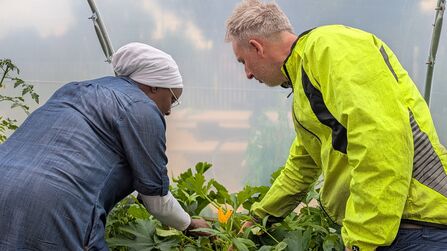 A woman with a headscarf and a man in a hi viz coat are both examining a raised planter full of courgettes
