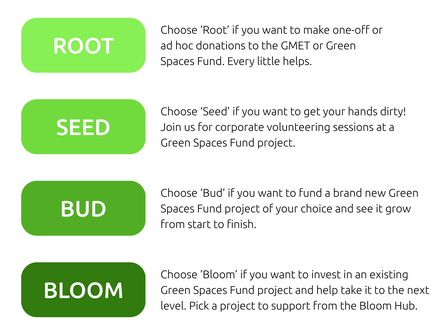 GSF Corporate Support Tier (2).png