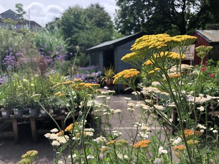 Hulme Community Garden Centre