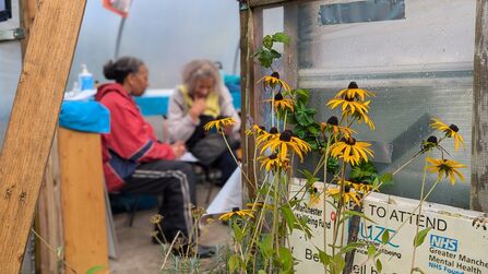 Ryder Brow Bloom Hub 2