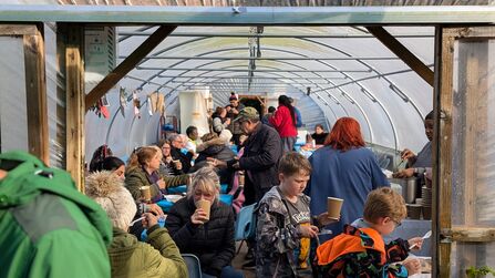 Ryder Brow Bloom Hub 3