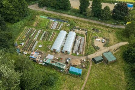 Let’s Gather at the Farm - Northern Roots