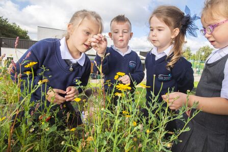 Chadwick Dam Cooking Forest Project - Silversprings Primary Academy