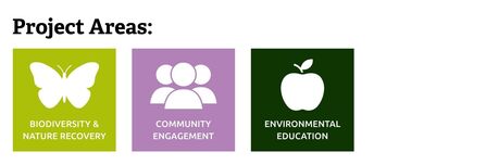 The Green Rooms - Project 1.jpg