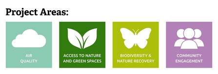 The Green Rooms - Project 3.jpg