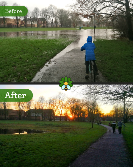 Before & After - Chorlton Park Sponge Meadow