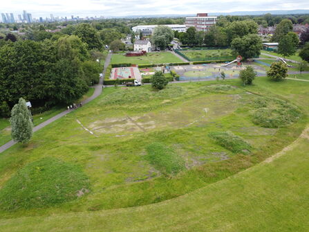 The sponge meadow from the sky