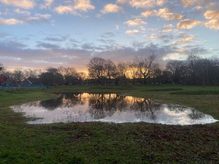 December Sponge Meadow