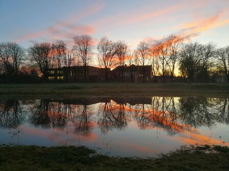 Winter sunset reflected in the flooded basin. Photo credit: Friends of Chorlton Park