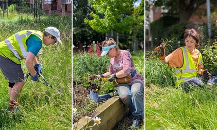 Three photos each showing a Love Old Trafford volunteer helping out with planting and weeding