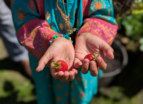 Homegrown strawberries - they were delicious!