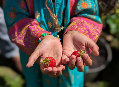 Bloom Hub Web Banner 