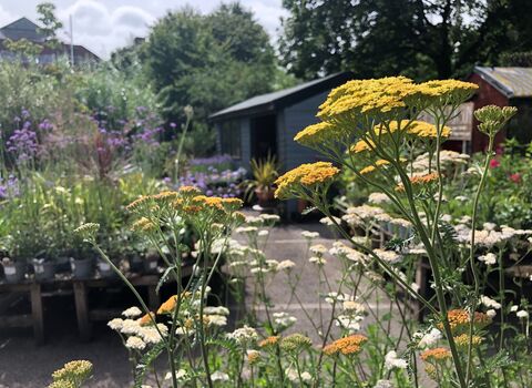 Hulme Community Garden Centre