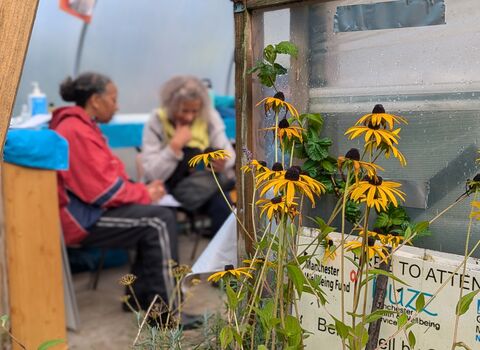 Ryder Brow Bloom Hub 2