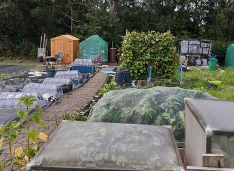 Wild and Free 4 All - Status 4 All