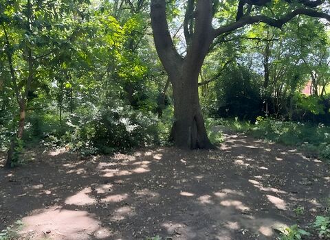 Greening the Broomwood - Timperley Civic Society