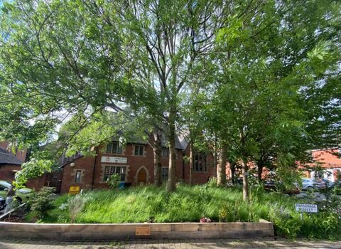 Trees outside a brick building