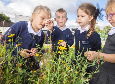 Chadwick Dam Cooking Forest Project - Silversprings Primary Academy