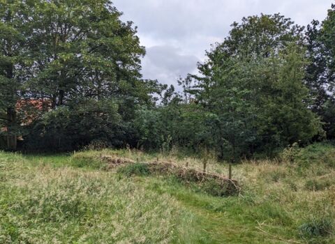 Biodiversity for Wellbeing in Rodney Fields - Friends of Rodney Fields